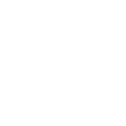 Novelty Editing logo